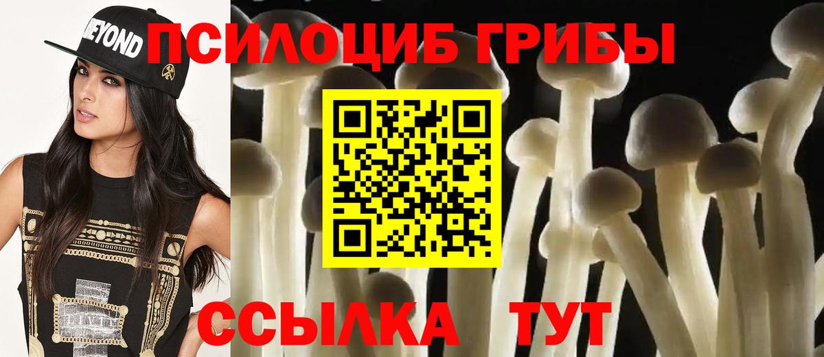 Псилоцибиновые грибы GOLDEN TEACHER Альметьевск